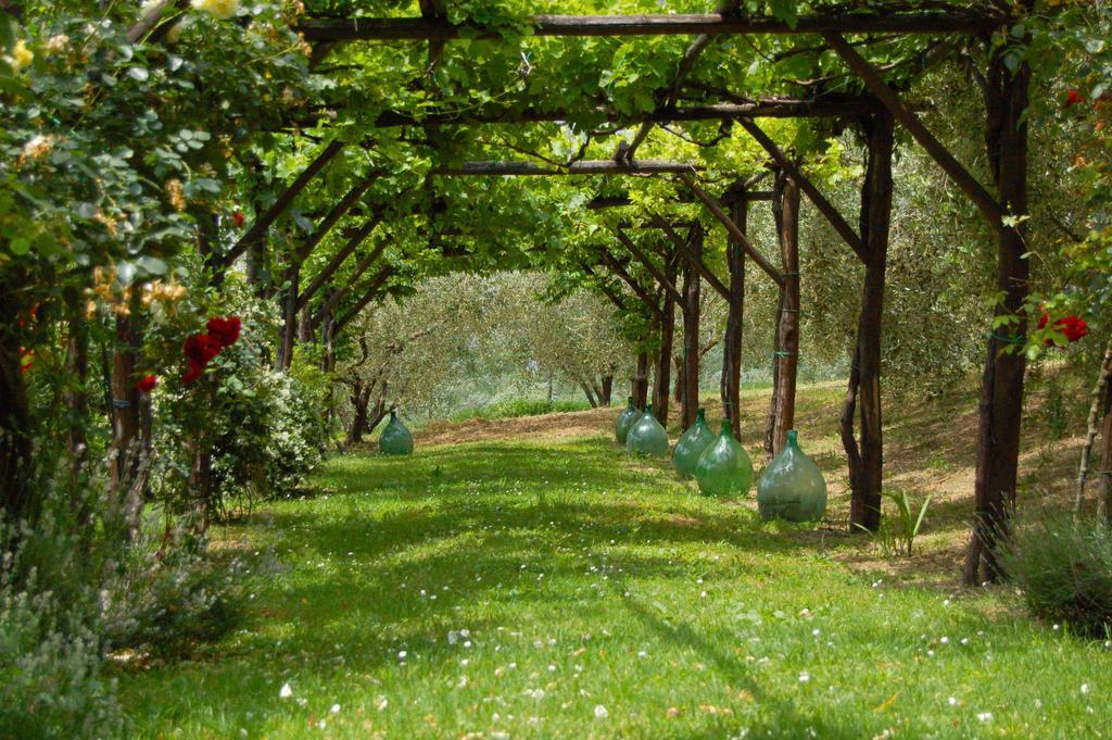 Agriturismo Casale Dei Frontini San Terenziano Exterior foto