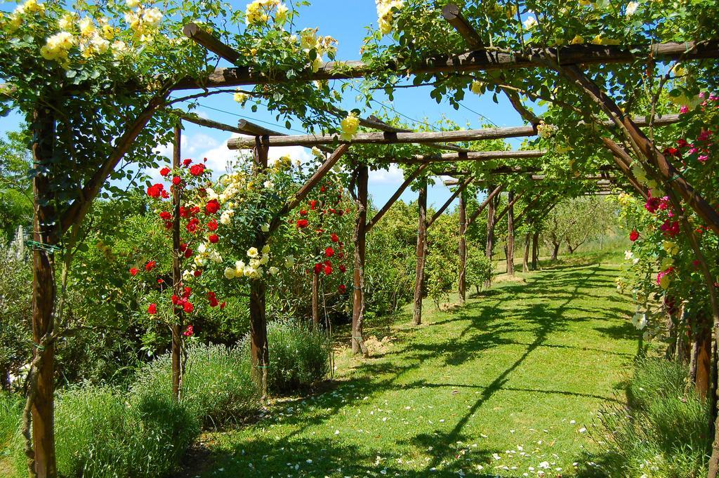 Agriturismo Casale Dei Frontini San Terenziano Exterior foto