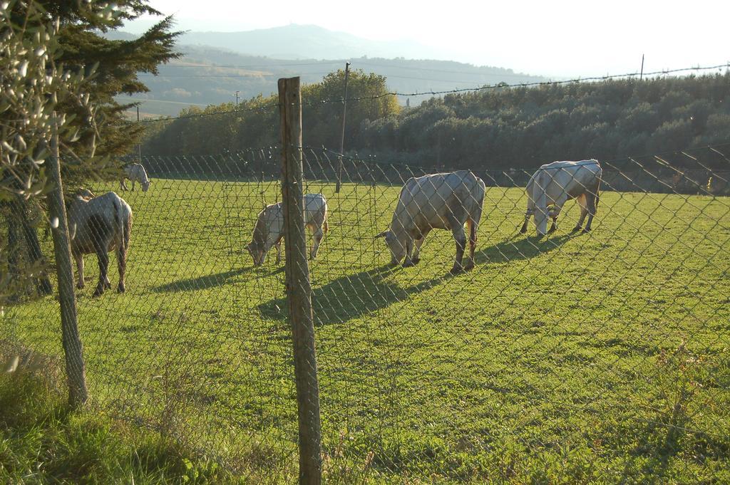 Agriturismo Casale Dei Frontini San Terenziano Exterior foto