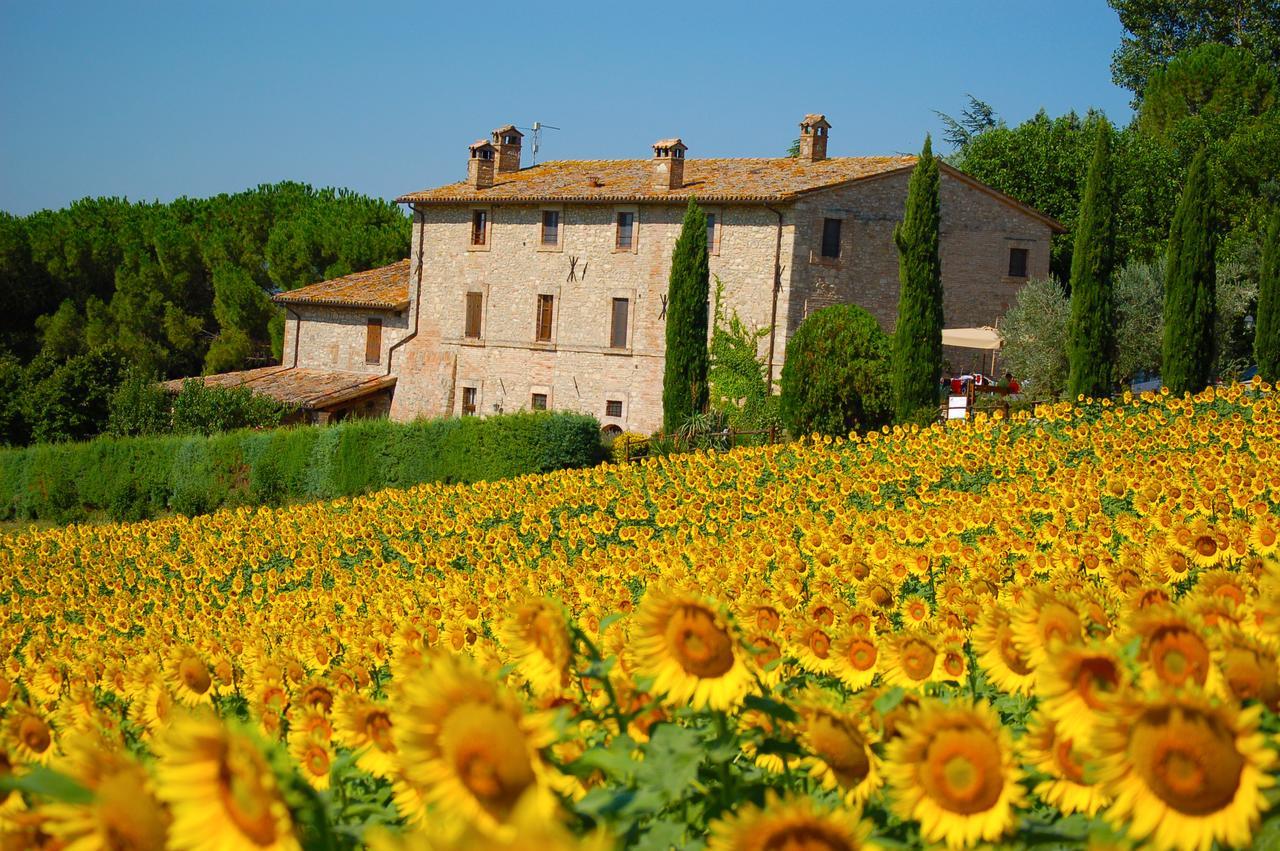 Agriturismo Casale Dei Frontini San Terenziano Exterior foto